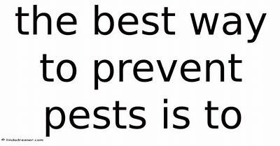 What Is the Best Way to Prevent Respiratory Hazards That Are Caused by Dust?