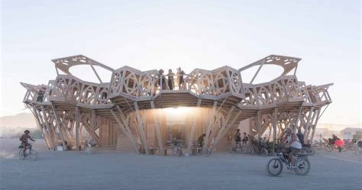 What Is the Burning Man Organization?