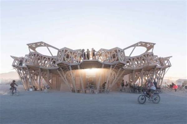 What Is the Burning Man Organization?