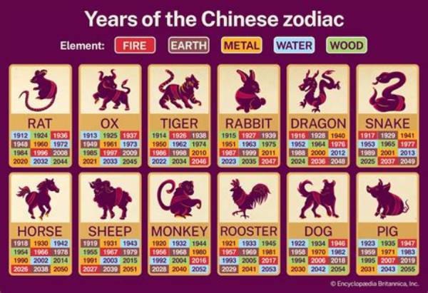 What Is the Chinese Zodiac Sign for 1991? Discover Your Zodiac Animal and Its Meaning