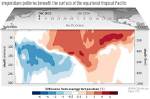What Is the Climate of the Pacific Ocean