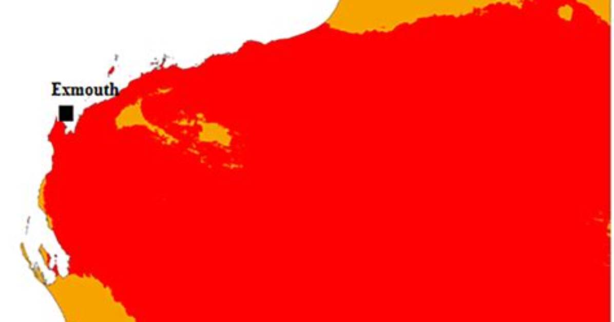 What Is the Climate of the Western Coast of North Africa?