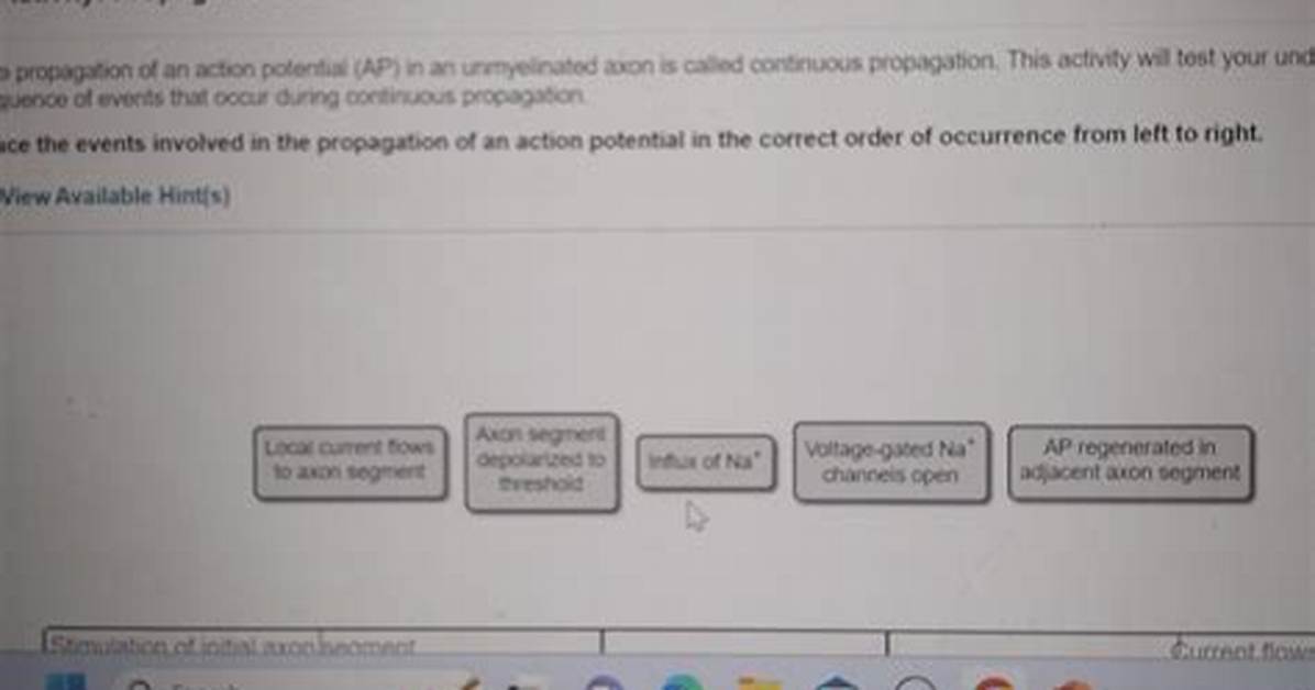 What Is the Correct Order of Occurrence for the Steps of Protein Synthesis?