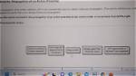 What Is the Correct Order of Occurrence for the Steps of Protein Synthesis?