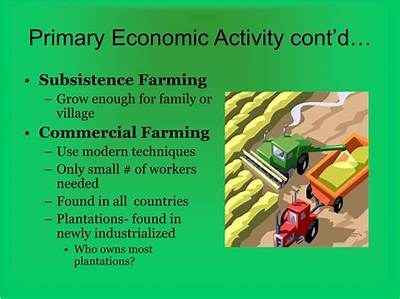 What Is the Definition of Primary Economic Activity?