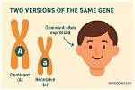 What Is the Definition of Recessive Allele