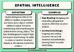 What Is the Definition of Spatial