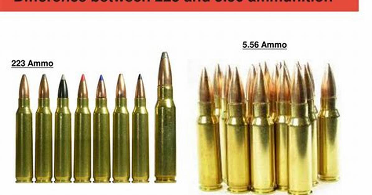 What Is the Difference Between a 223 and 308 Caliber?