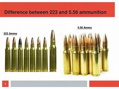 What Is the Difference Between a 223 and 308 Caliber?