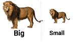 What Is the Difference Between a Big Mac and a Big Tasty?
