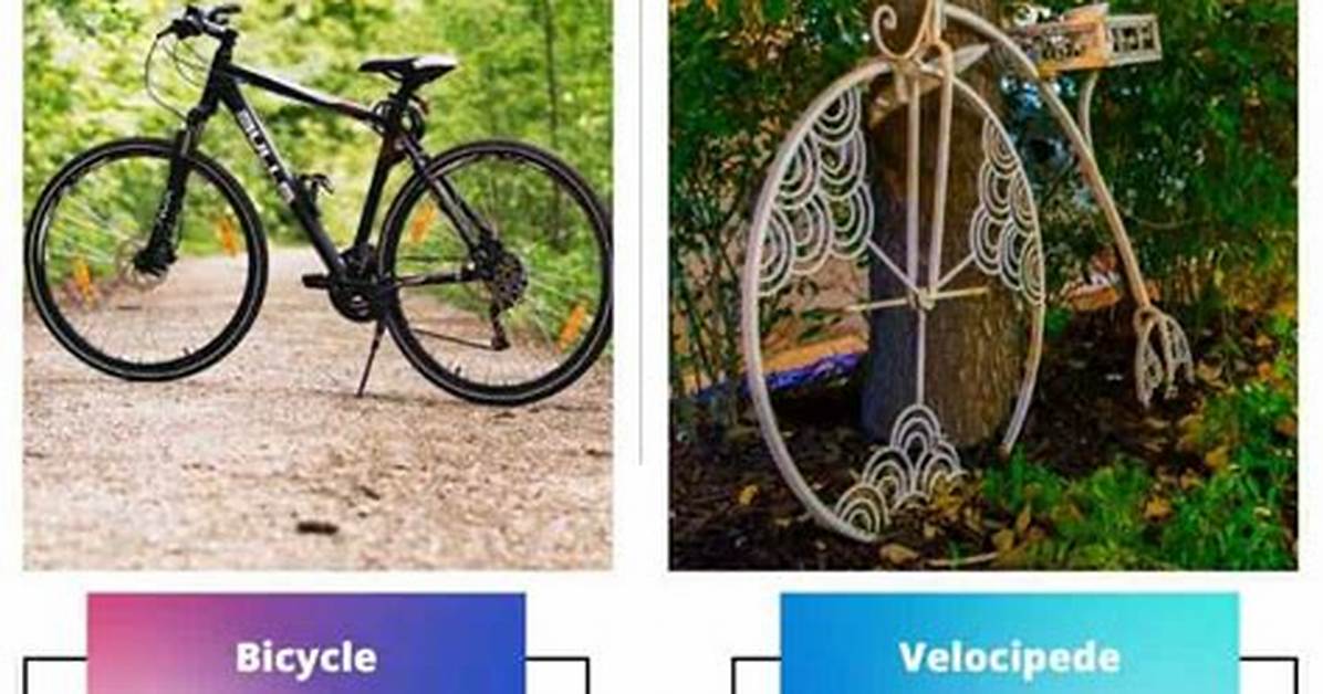 What Is the Difference Between a Velocipede and Bicycle?