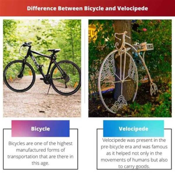 What Is the Difference Between a Velocipede and Bicycle?