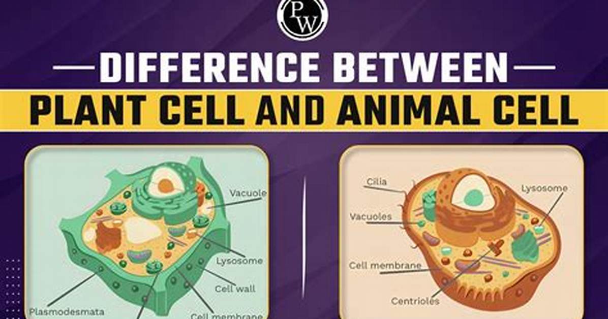 What Is the Difference Between an Animal and a Mammal