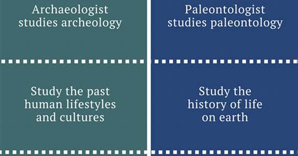 What Is the Difference Between Archeology and Anthropology
