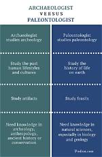 What Is the Difference Between Archeology and Anthropology