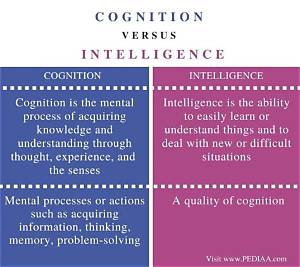 What Is the Difference Between Cognition and Attitude?