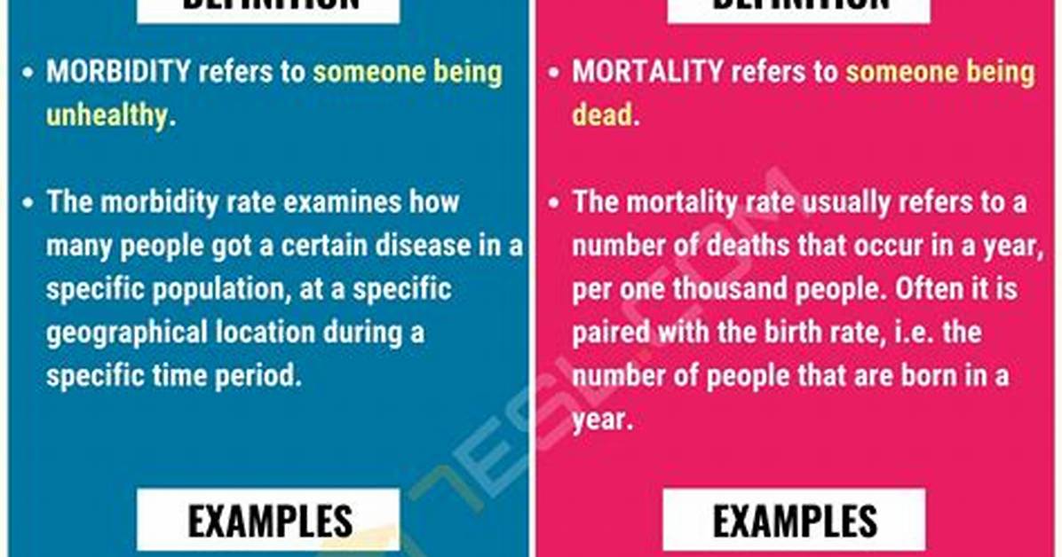 What Is the Difference Between Death and Dying?
