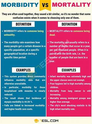 What Is the Difference Between Death and Dying?