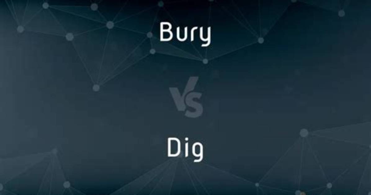 What Is the Difference Between Dig and Dgp?