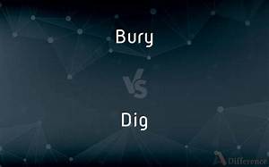What Is the Difference Between Dig and Dgp?