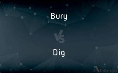 What Is the Difference Between Dig and Dgp?