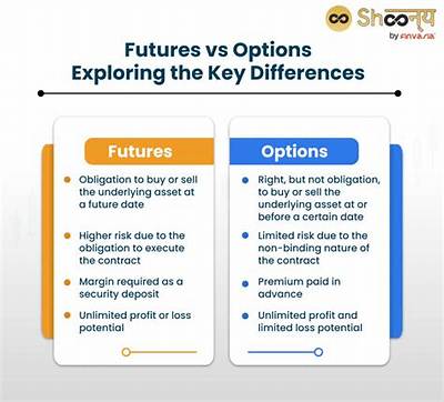 What Is the Difference Between Option and Priority?