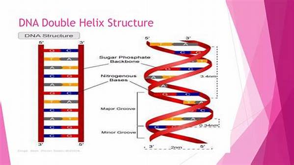 What Is the Double Helix Structure Called?