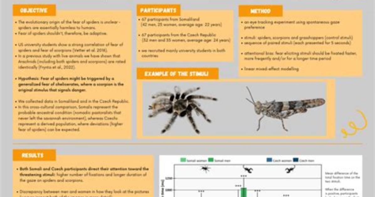What Is the Fear of Scorpions Called?