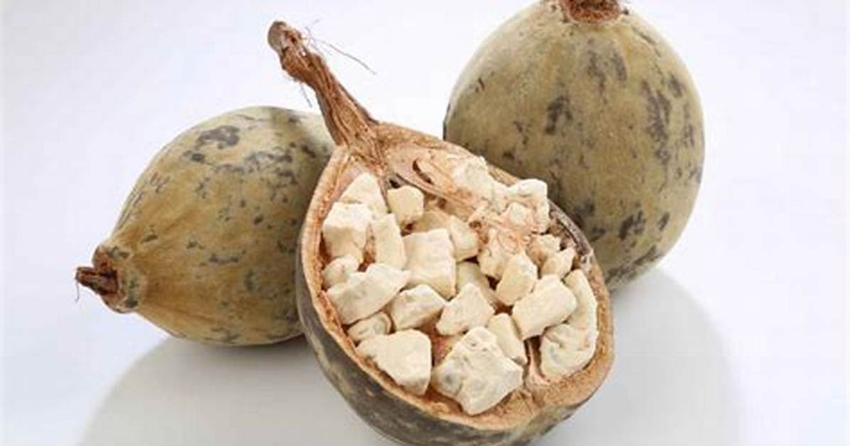 What Is the Fruit of the Baobab Tree Called?