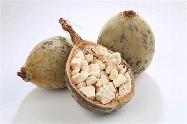 What Is the Fruit of the Baobab Tree Called?
