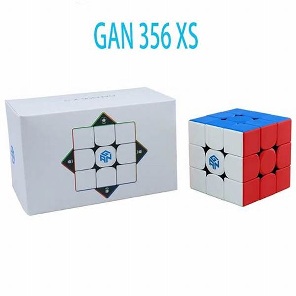 What Is the Gan 356 Xs Card for?