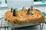 What Is the Grossest British Food?