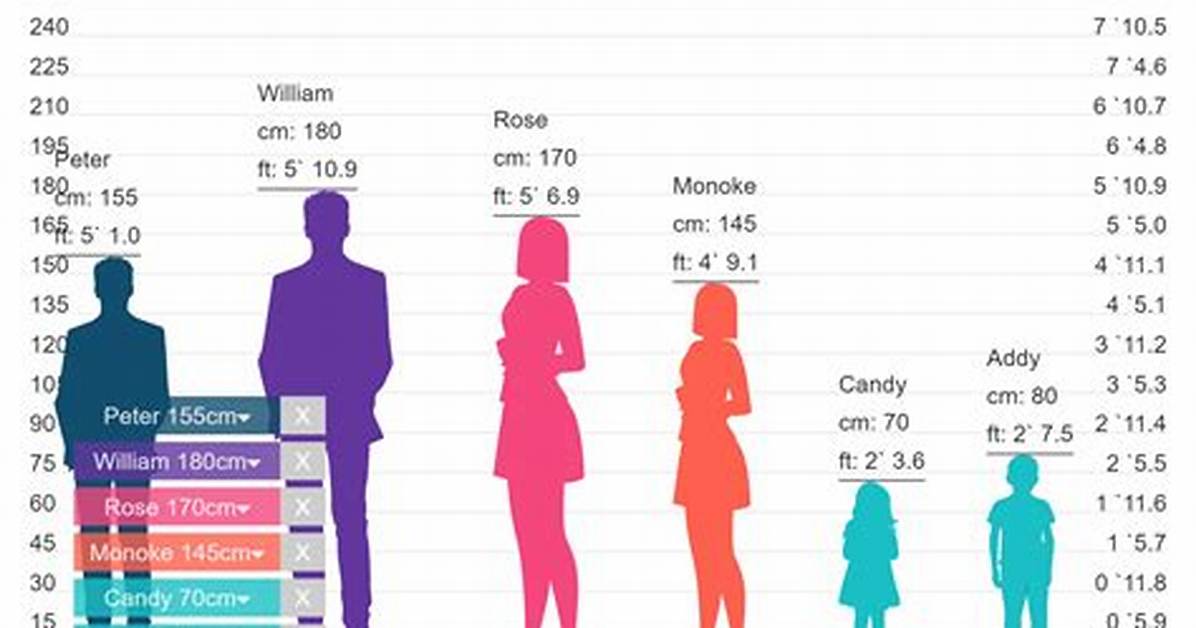What Is the Height of A