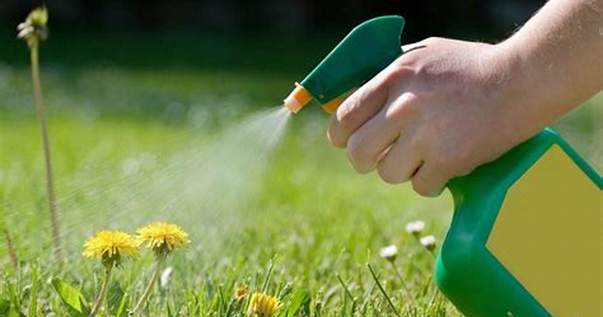 What Is the Herbicide