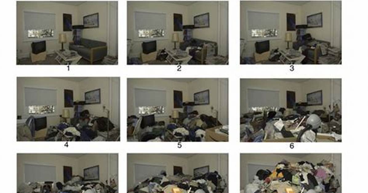 What Is the Hoarding Scale?