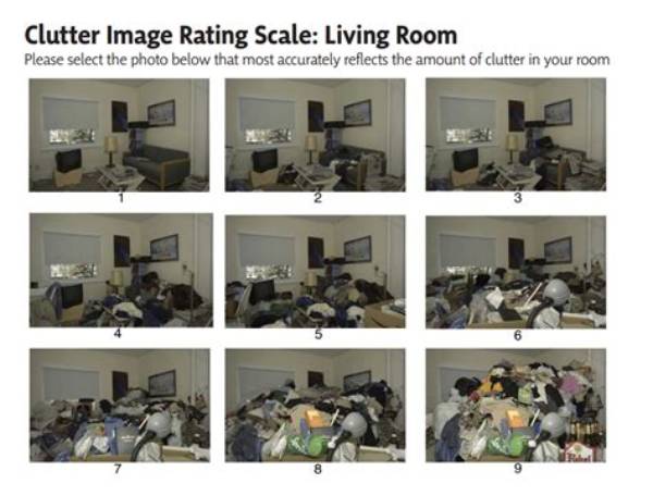 What Is the Hoarding Scale?