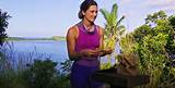 What Is the Inheritance Advantage in ‘Survivor’? Details