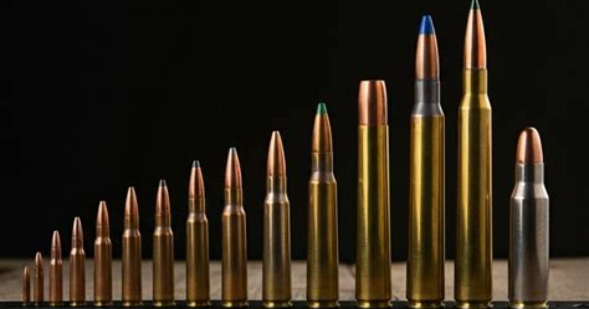 What Is the Largest Caliber Rifle That Henry Makes?