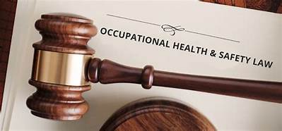 What Is the Law Governing Occupational Safety and Health in Trinidad?