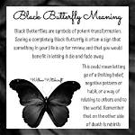 What Is the Meaning Blurrily?