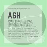 What Is the Meaning of Ash