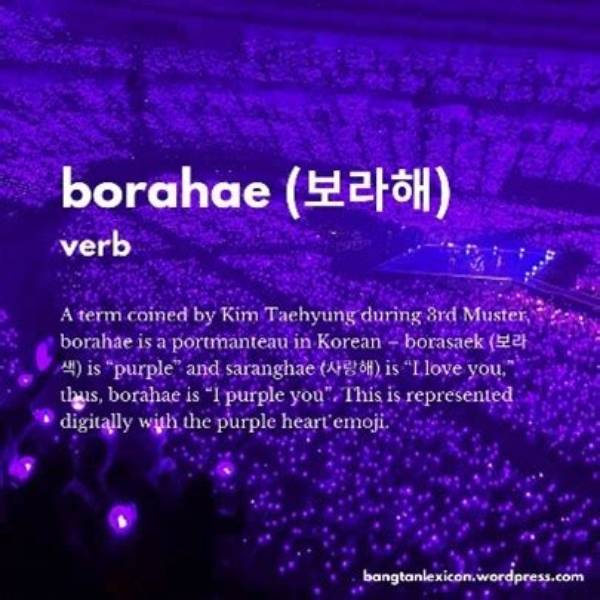 What Is the Meaning of Borahae?