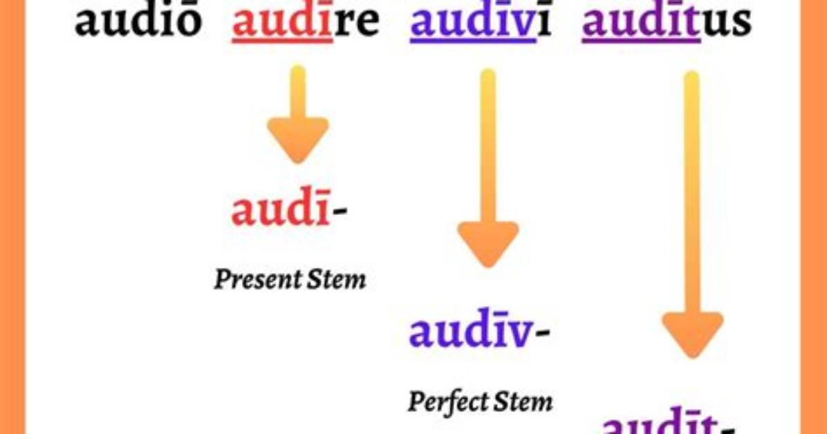 What Is the Meaning of Facit?