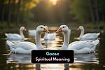 What Is the Meaning of Goose-Stepped?