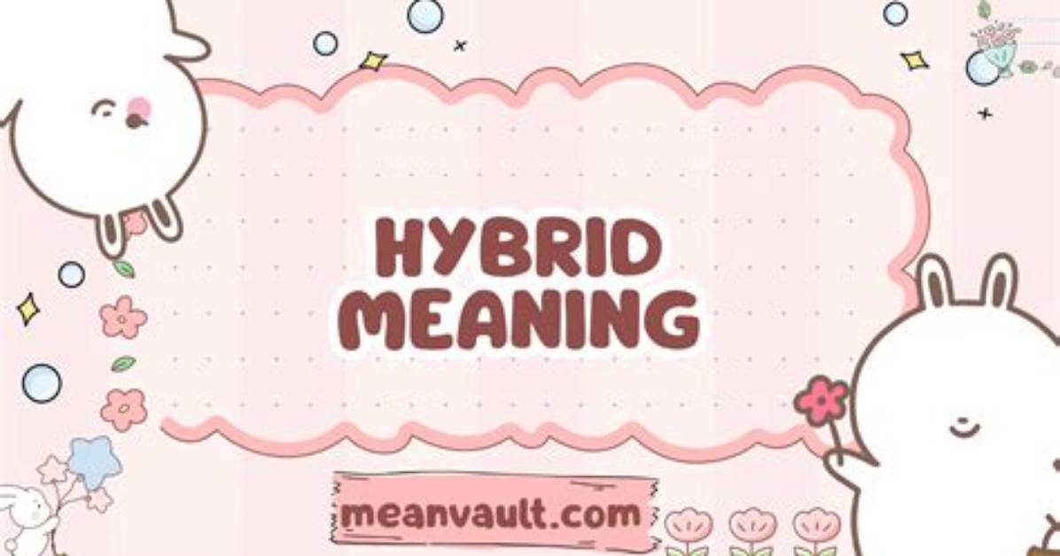 What Is the Meaning of Hybrid Dry In