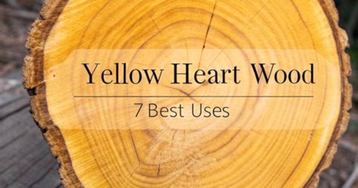 What Is the Meaning of Yellow Wood in the Road Not Taken?