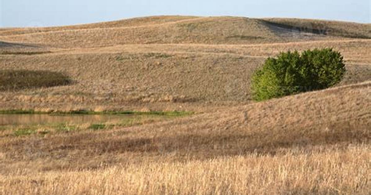 What Is the Missouri Coteau?