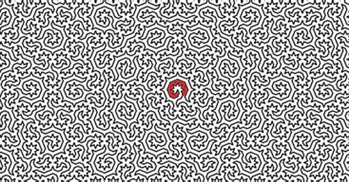 What Is the Most Difficult Maze?