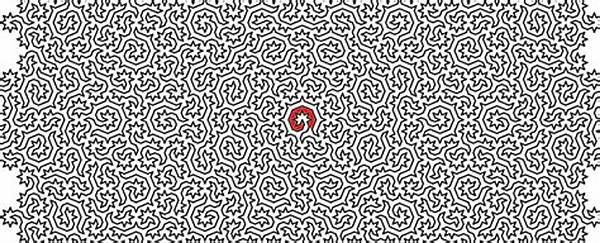 What Is the Most Difficult Maze?