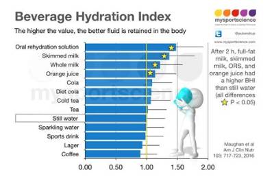 What Is the Most Hydrating Drink in the World?